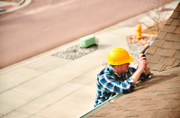 Best Roof Gutter Cleaning  in Rosita, TX